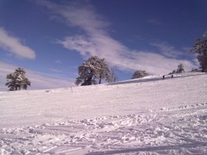 Vasilitsa 30.1