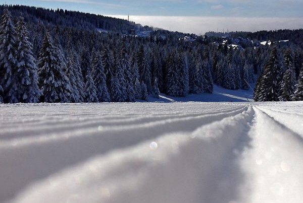 Kopaonik thumbnail 600x600