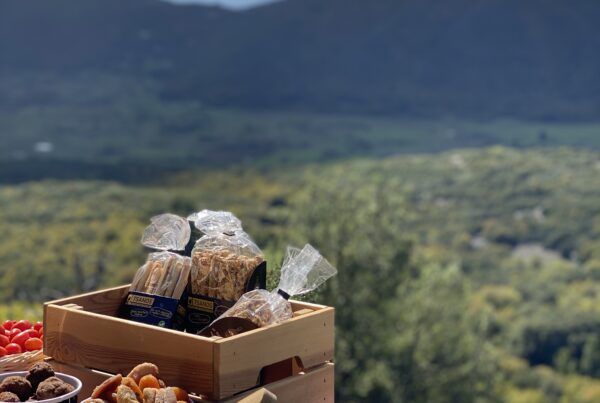 PicNic Sessions thump