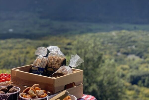 PicNic Sessions thump