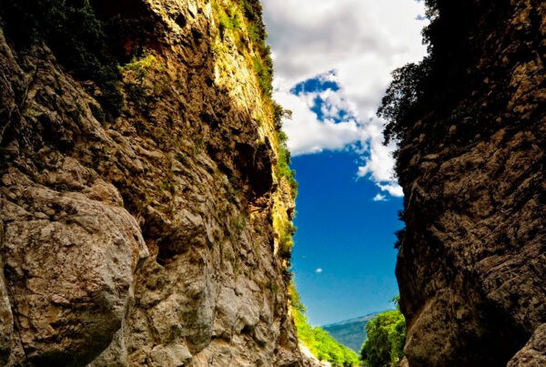 Rafting Άραχθος