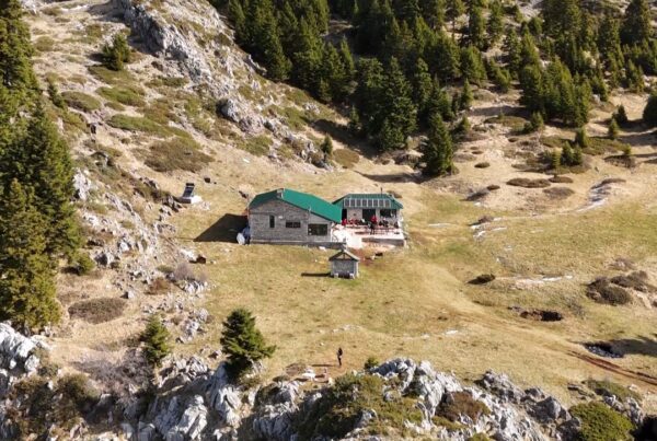 Koziakas | Κόζιακας