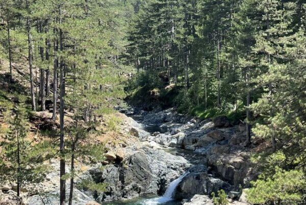 Valia Canda | Βάλια Κάλντα