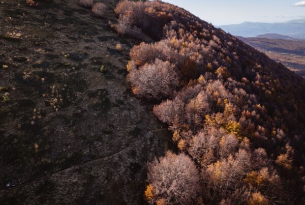 Vermio | Βέρμιο